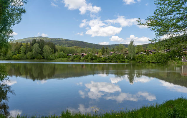 Am Hohen Bogen - Photo 5