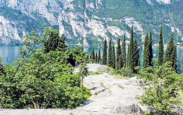 SunnyLake - Photo 27