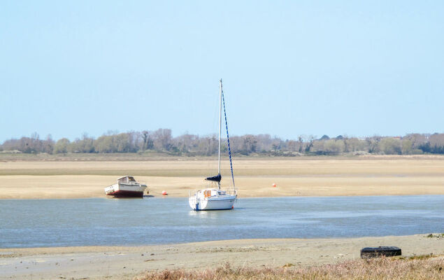 Les Coquelicots - Photo 19