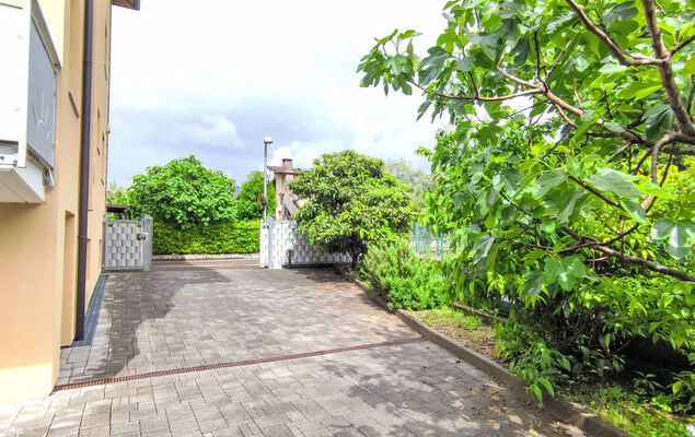 Calicantus - Nespolo - Photo 18