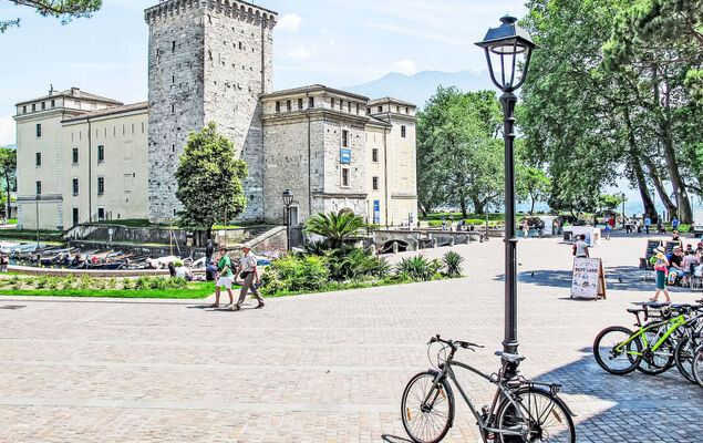 Calicantus - Nespolo - Photo 29