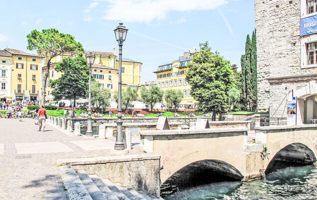 Calicantus - Nespolo - Photo 30