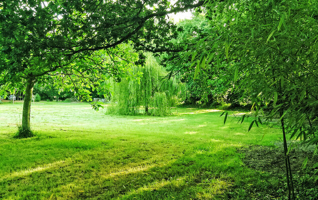 La Gicquelière - Photo 51