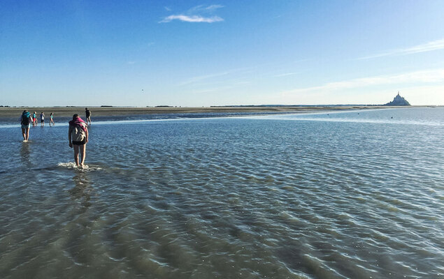La Gicquelière - Photo 57