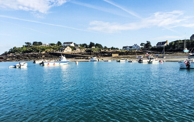 La Gicquelière - Photo 58